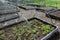 Several gardening beds made from wood, filled with variety of fruits and vegetables