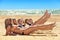 Several girls in bikini lying on sandy beach