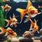 Several goldfish in an aquarium. Success or job search concept