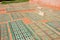 Several graves of soldiers and servants in the garden of the Saadian Tombs