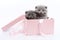 Several gray Scottish Fold kittens in the box