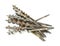 Several hand brace traditional auger drill bits