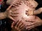 Several hands in a pregnant woman belly. Family caring for expecting mother.