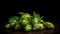 Several hops cones arranged in a pattern on a dark background, with their unique spiky shape and green color.