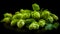 Several hops cones arranged in a pattern on a dark background, with their unique spiky shape and green color.