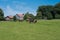 Several horses feeding on a green meadow near houses