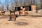 Several horses on the meadow farm waiting for food