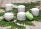 Several jars of cream on green plant branch