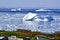 Several large icebergs marooned near the shoreline