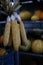 several large light-yellow dried corn are hanging on the counter nearby and orange pumpkins are lying behind