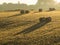 Several large round bales of hay laying in a crop field