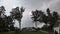 Several Lightning Strike during thunderstorm