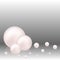 Several mother-of-pearls on a gray background. Abstract wind design. Background with pearls, decoration. eps 10