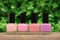 Several nail polish bottles in spring garden. Set of pink nail polish bottles on wooden desk on green leaves background