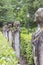 Several old and weathered stone statues of persons on a row portrait photographed in a park or Bouvigne Castle at Breda, Netherl