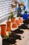 Several orange flower pots, heaps of land for planting, a blue watering can