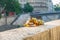 Several Padlocks on the Parapet of the Seine Promenade