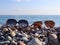 Several pairs of sunglasses lie on the shore of the warm sea. Tourists left their glasses on the beach