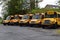 Several parked School buses