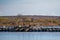 Several pelicans and cormorants rest, Greece