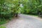 A several people running down a long winding dirt hiking trail covered with fallen autumn leaves