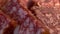 Several pieces of sausage close-up. Salami, full frame. Full hd video, selective focus. Slicing the sausage. Raw smoked sausage