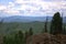 Several pines on a rocky mountain peak overlooking the picturesque hilltops