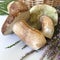 Several porcini mushrooms and a bunch of blooming fern. Near a wicker basket