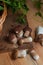 Several porcini mushrooms on wooden background at autumn season