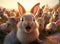 Several rabbits take a group selfie