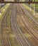 Several rail tracks going to the horizon, top view