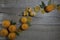 Several ripe tangerines with leaves and decorative circles of dried citruses lie on the surface of natural wood