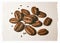 Several roasted coffee beans scattered on a plain white paper background, printed in a vintage risograph style