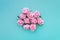 Several satin pink rose buds on turquoise background.