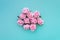 Several satin pink rose buds on turquoise pastel background. Top vie