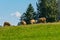 Several sheep graze on a small mountain top