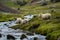 Several sheep walking along a stream, in the style of delicate Icelandic landscapes