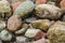 several small and big stones or pebbles on the beach at the baltic sea, a great pattern