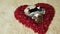 Several small puppies lie inside a decorative red heart