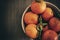 Several tangerines on a plate, before eating