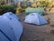 Several tents of tourists are spread out in the morning clearing in the forest