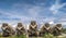 Several trucks carrying cement are parked in the grass field at the foot of Mount Tampomas, Sumedang city, Indonesia