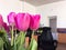 Several tulips on blurred workroom background