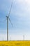 Several turbo-generators stand on a flowering canola field, bottom view, renewable energy