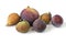 Several varieties of common fig fruits on white background.