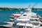 Several white fishing boats in a Caribbean harbor