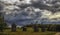 Several windmills stand in the field.