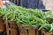 Several wood baskets filled with fresh picked green string beans