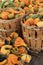 Several wood baskets filled with fresh variety of squash at local farmers market