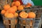 Several wood baskets, some filled with just picked oranges and some empty